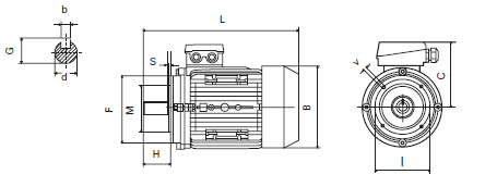 B5 motor