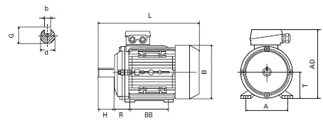 B5 motor